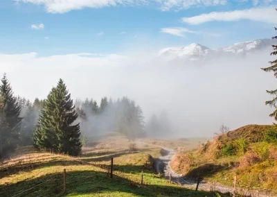 Vue Exterieure du Chalet d'alpage Mont Plaisir - Chalet Alpage - Samoens - Location saisonnière - Hebergement de vacances à la montagne